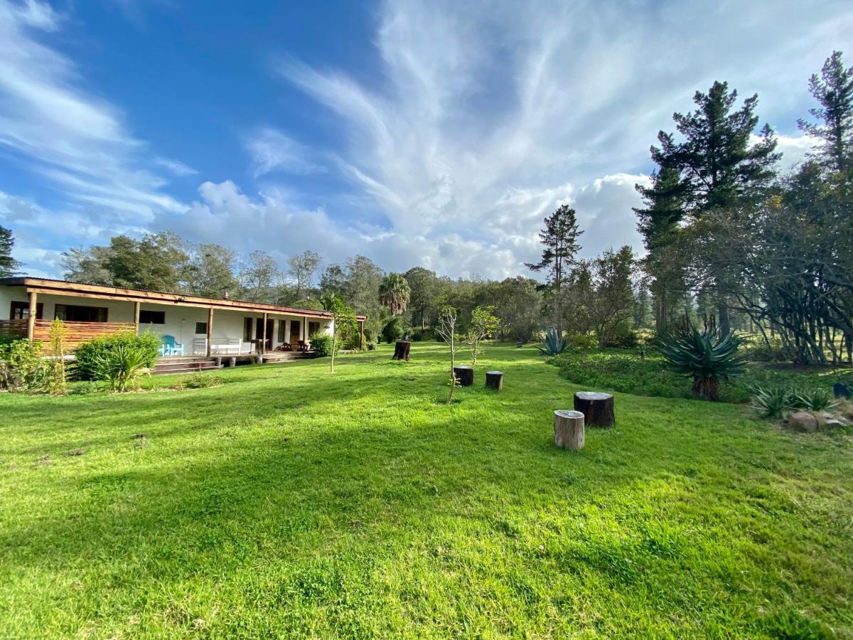Bella Manga Country Escape ξενώνας Plettenberg Bay Εξωτερικό φωτογραφία