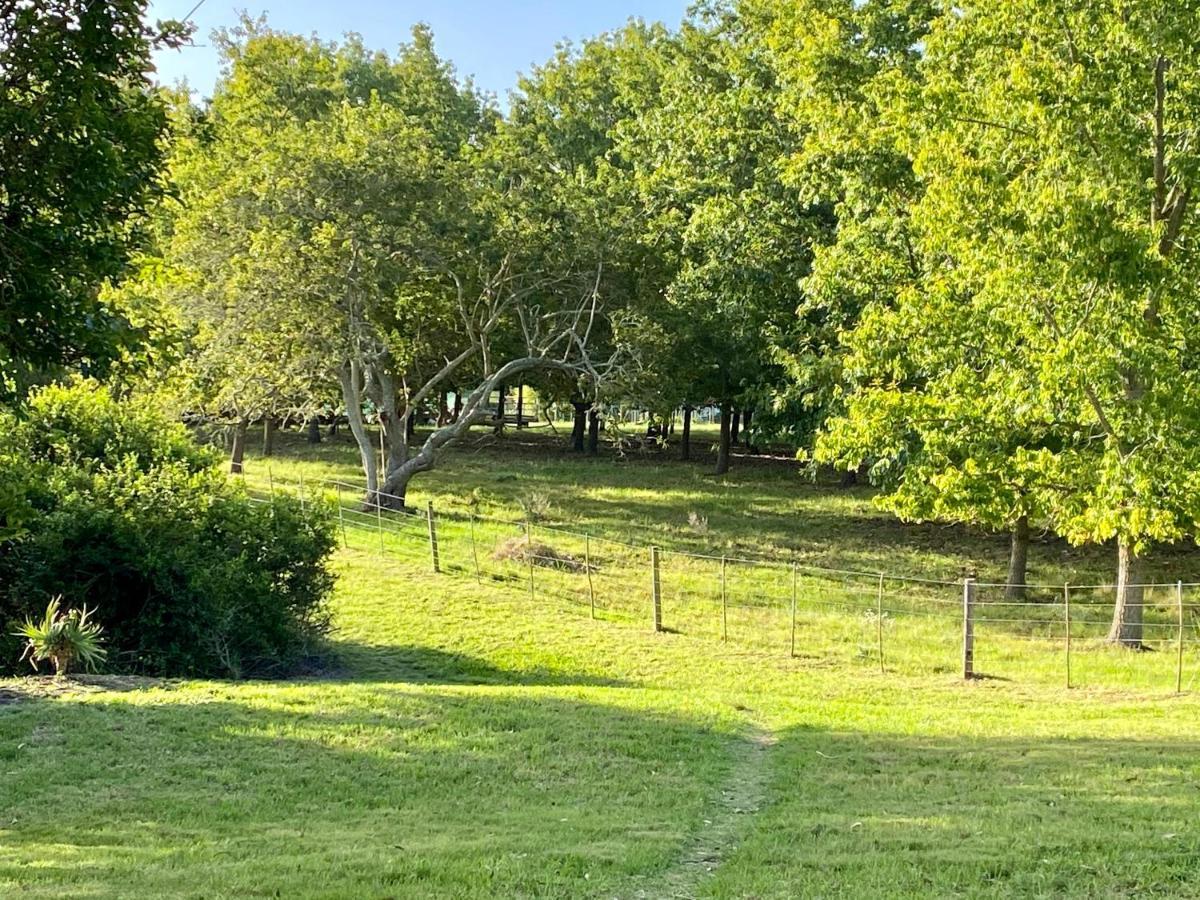 Bella Manga Country Escape ξενώνας Plettenberg Bay Εξωτερικό φωτογραφία