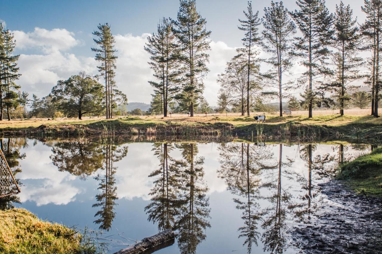 Bella Manga Country Escape ξενώνας Plettenberg Bay Εξωτερικό φωτογραφία