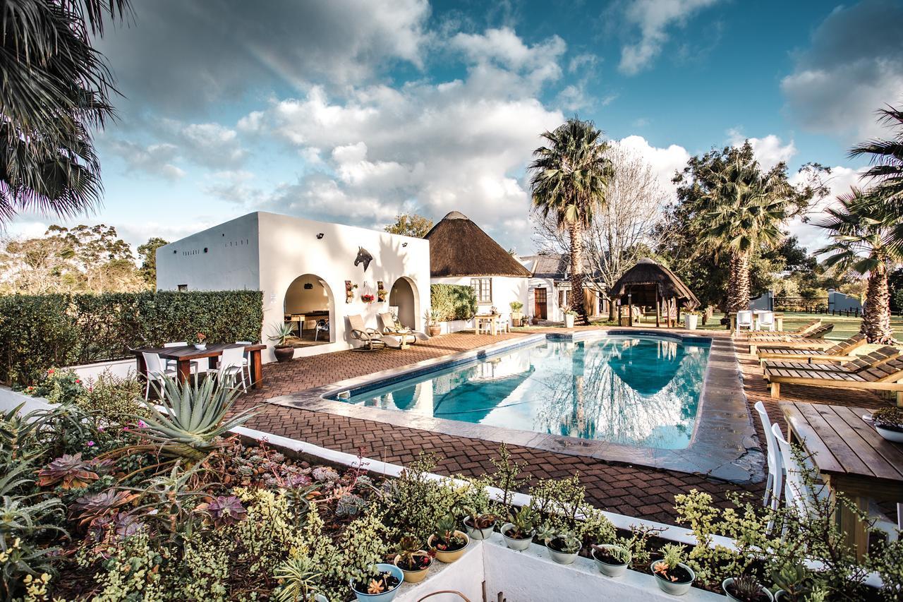 Bella Manga Country Escape ξενώνας Plettenberg Bay Εξωτερικό φωτογραφία
