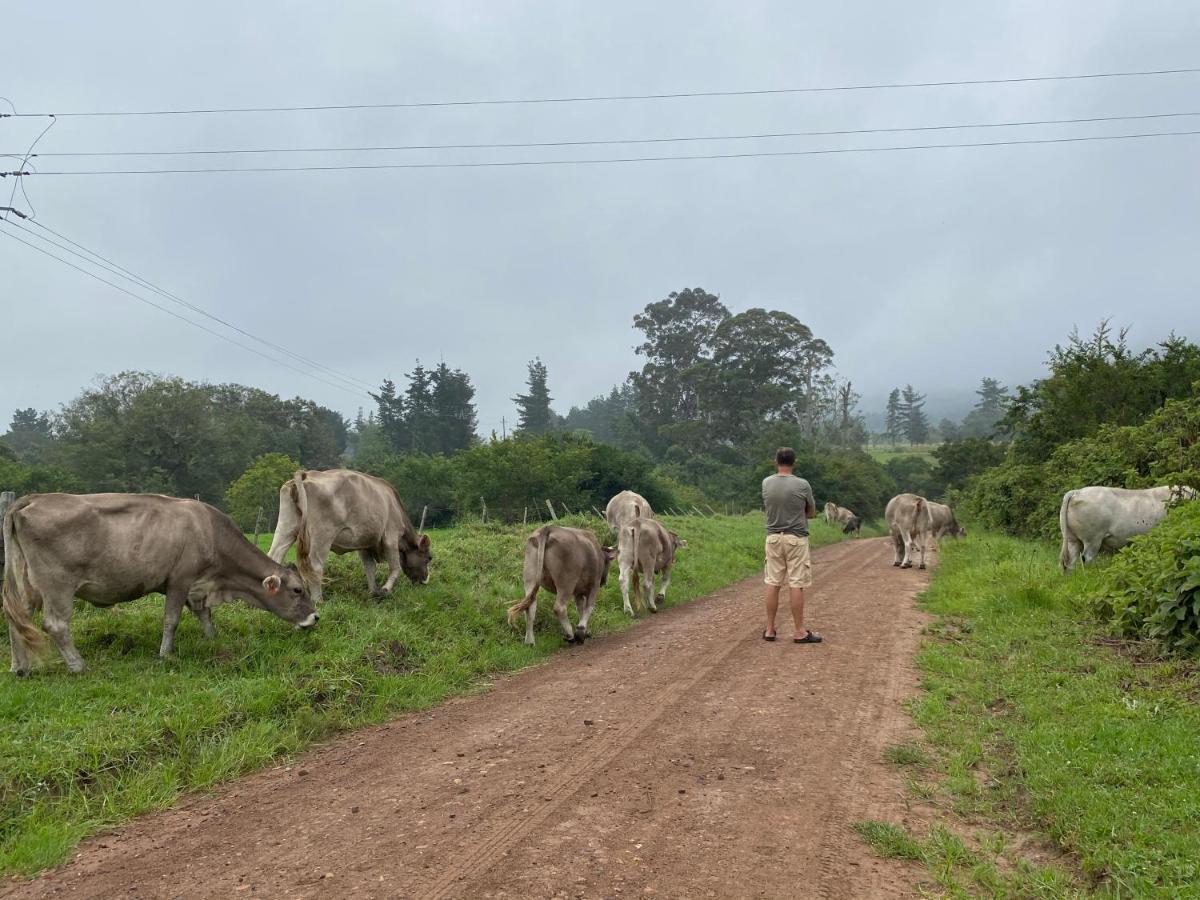 Bella Manga Country Escape ξενώνας Plettenberg Bay Εξωτερικό φωτογραφία